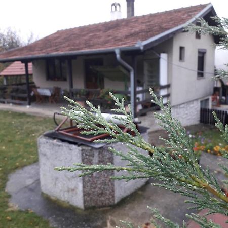 Galerija Jovanovic Topola エクステリア 写真